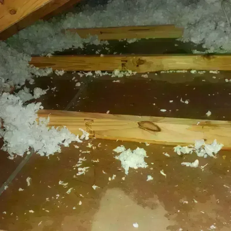 Attic Water Damage in Pflugerville, TX