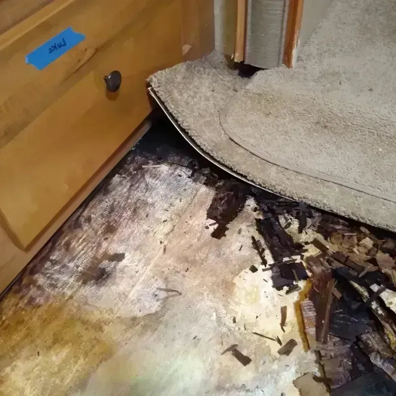 Wood Floor Water Damage in Pflugerville, TX